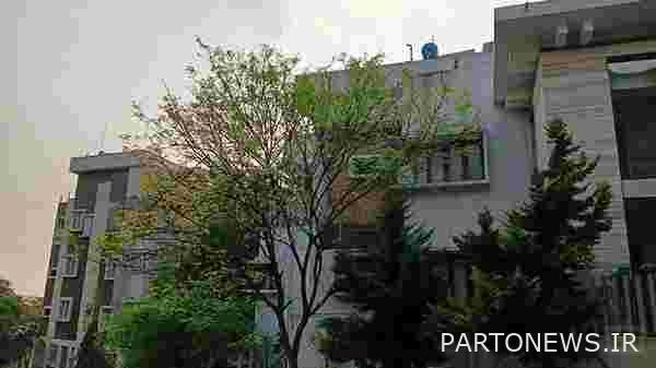 دوربین ها دارای چندین ویژگی هستند