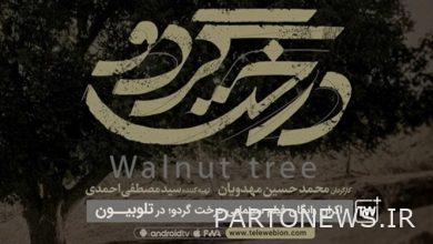 Walnut tree in Telobiun Plus / Free online screening from April 25