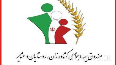 The agents of the Social Insurance Fund are farmers and villagers - Mehr News Agency |  Iran and world's news