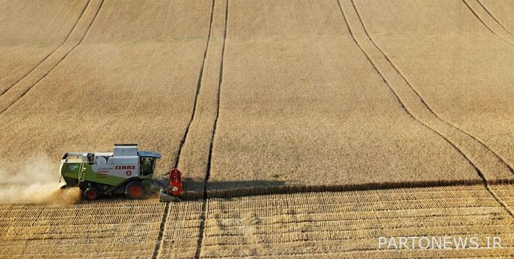 Russia raises grain export tax