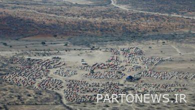 International Monetary Fund warns of climate disasters in the Middle East