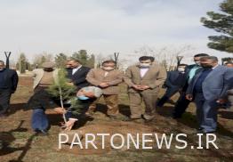 Holding tree planting rituals in historical and cultural collections of Khorasan Razavi