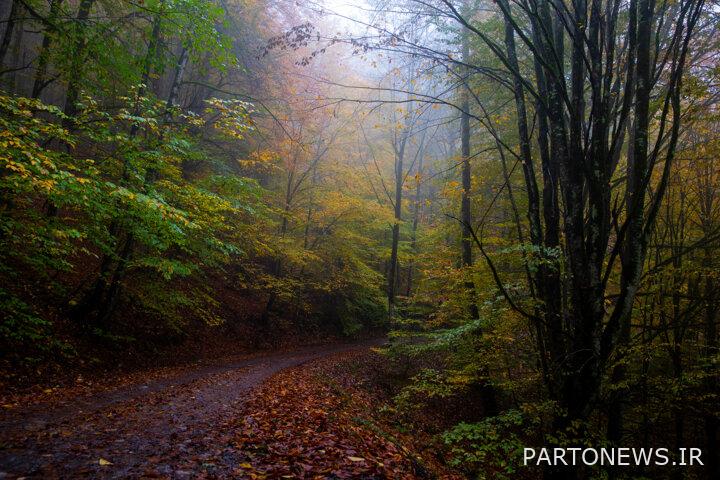 - The role of Hyrcanian heritage on the sphere of art of Gilanian - The role of Hyrcanian heritage on the sphere of art of Gilanian