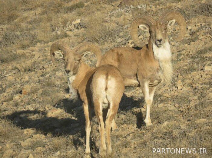 منتزه جولستان الوطني 2 - منتزه جولستان الوطني هو جنة لمحبي الطبيعة والسياح منتزه جولستان الوطني 2 - منتزه جولستان الوطني هو جنة لمحبي الطبيعة والسياح