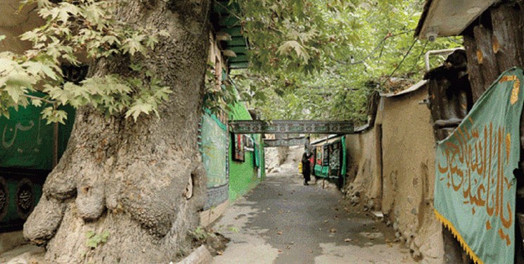 تم إدراج التسجيل الوطني لشجرتين قديمتين في المنطقة 5 من طهران / Walk Ploo في قائمة التراث غير المادي