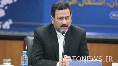 Establish executive infrastructure to combat smuggled and counterfeit goods