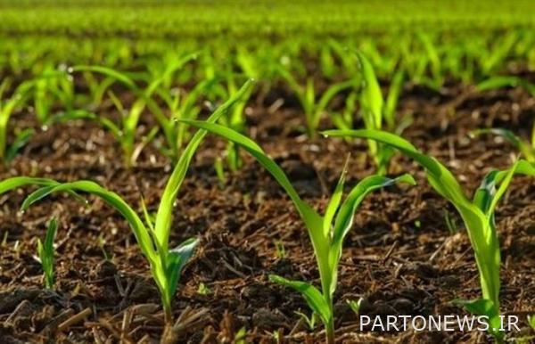 Payment of 5,000 billion rials in compensation to damaged farmers