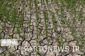 افزایش هشداردهنده سرعت پیدایش خشکسالی های ناگهانی در زمین