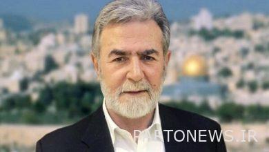 Iran is the only major supporter of Palestine / Praise of Resistance Operation - Mehr News Agency |  Iran and world's news