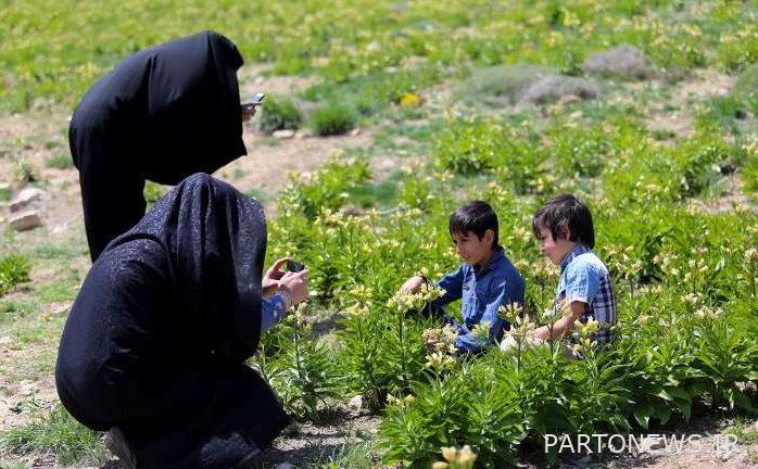 Mary 3 e1649572359630 - Unmerciful tears over Mary tears