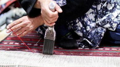 کارآفرینان کسب و کارهای خرد در زنجان شناسنامه دار میشوند