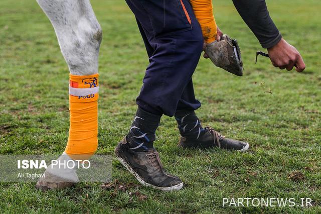 1 - Slaughter polo! چوگان