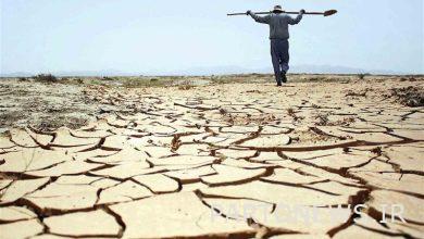 Water drought crisis in the plains of Iran / Municipalities must change the method of irrigating green space