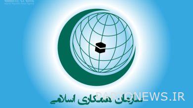 گروه سازمان همکاری اسلامی در نیویورک هتک حرمت قرآن کریم در سوئد را محکوم کرد