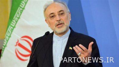 علی اکبر صالحی: اگر موضع منطقی ایران نبود، برجام تاکنون فسخ شده بود