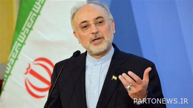 علی اکبر صالحی: اگر موضع منطقی ایران نبود، برجام تاکنون فسخ شده بود