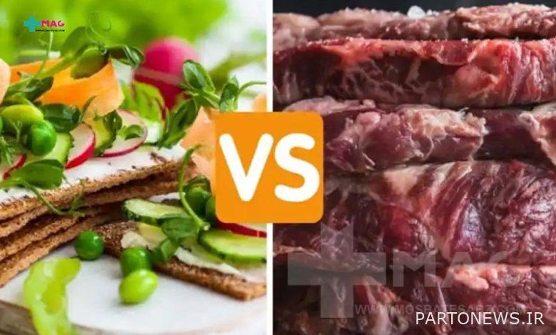 The difference between vegetable protein and animal protein