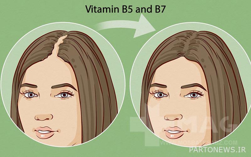Vitamins B5 and B7 and their effect on hair growth