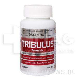 Diane Hot Diane Pharma Tribulus Capsules