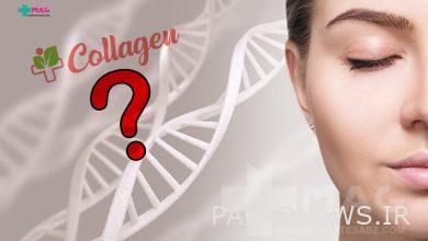 What is collagen and how to make collagen for our skin?