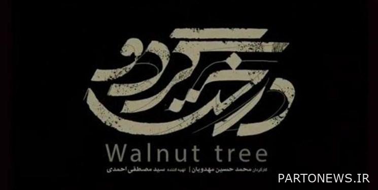 Record one million online views of "Walnut Tree"