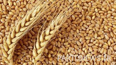 Guaranteed purchase of wheat exceeds 2 million tons