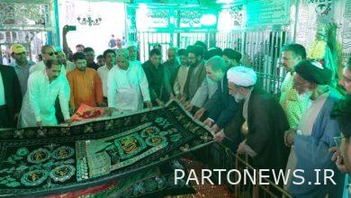 كشف النقاب عن أكبر شجرة لعائلة السادات نقوي في العالم!
