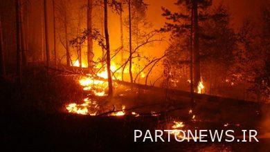 افزایش خطر آتش‌سوزی‌های جنگلی در آمریکا در نتیجه تغییرات اقلیمی