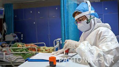 Identification of 288 new patients / 8 Covid patients 19 died