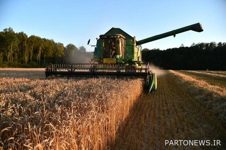 حرب أوكرانيا وانعدام الأمن الغذائي والحاجة إلى استعادة ثقة السوق من خلال شفافية المعلومات