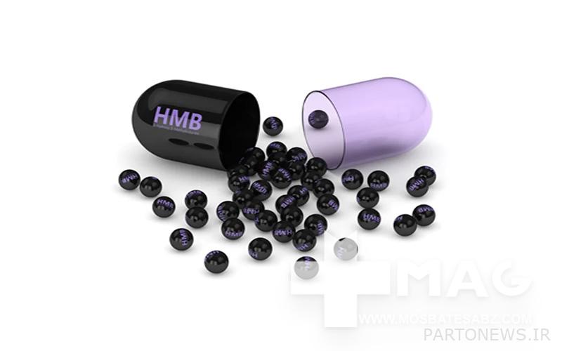 HMB energy supplement