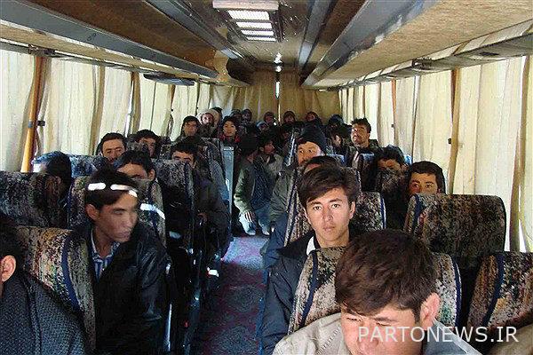 185 illegal Afghan nationals identified in Jahrom - Mehr News Agency | Iran and world's news