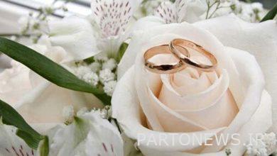 Lamerd Islamic Propaganda Initiative in the Field of Marriage / with Youth - Mehr News Agency | Iran and world's news