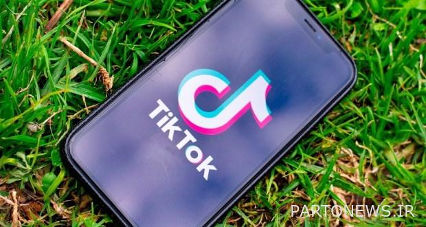 Theft of information from TikTok users