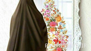 وكالة أنباء مهر: الدعاية الإسلامية تجاوزت موضوع الحجاب والعفة المباشر  إيران وأخبار العالم