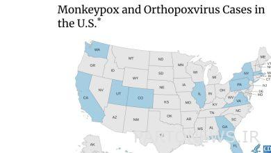 هشدار گسترش شیوع " آبله میمون " در آمریکا