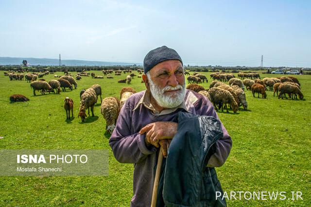 East Mazandaran