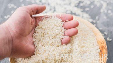 2 effective factors in the recent price reduction of Iranian rice