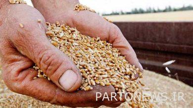 توفير مليوني طن من استهلاك القمح بالدولة من خلال تعديل الدعم