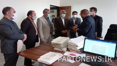 The identification of elderly cases was evaluated