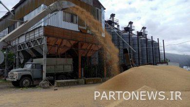 تاس: بخش تحت کنترل روسها در جنوب اوکراین آماده فروش غلات به خاورمیانه است