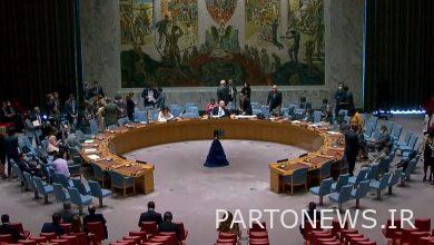 وتوی قطعنامه‌های پیشنهادی غرب و روسیه درباره گذرگاه مرزی سوریه و ترکیه در شورای امنیت