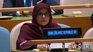 معاون نمایندگی ایران:آمادگی ارتقای اتصال آسیای مرکزی و جنوبی را داریم