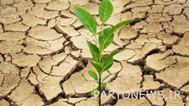 The impact of drought on the unemployment rate in spring