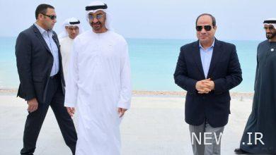 Energy expert: Egypt and the UAE are not healing from the European gas crisis