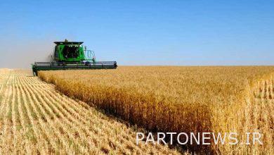 Ukraine announced details of grain exports