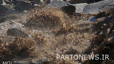 Forecast of flooding in the southern half of the country in the next five days