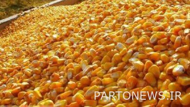 انخفضت الأسعار العالمية مع استمرار الصادرات من أوكرانيا