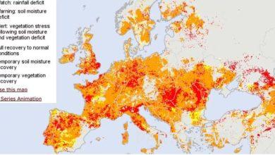 أسوأ جفاف في السنوات الخمسمائة الماضية في القارة الخضراء / 64٪ من أوروبا في خطر