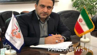 The necessity of planning to reduce emerging crimes and social damages